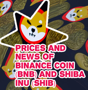Cryptocurrency shiba inu coin price