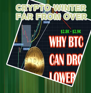 How low will bitcoin go