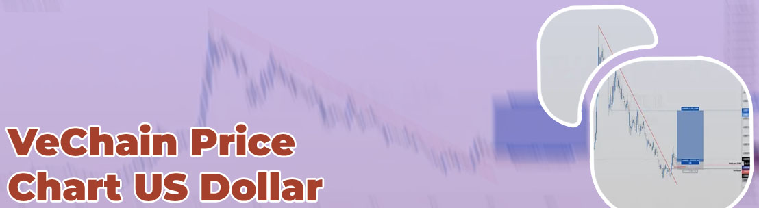 Vet crypto price
